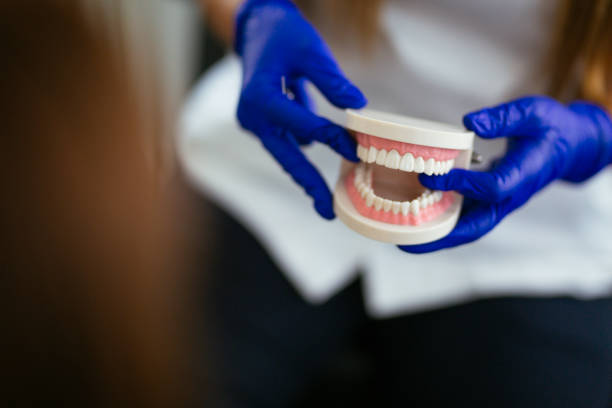 Reliable Bel Nor, MO Holistic Dental Care Services Solutions